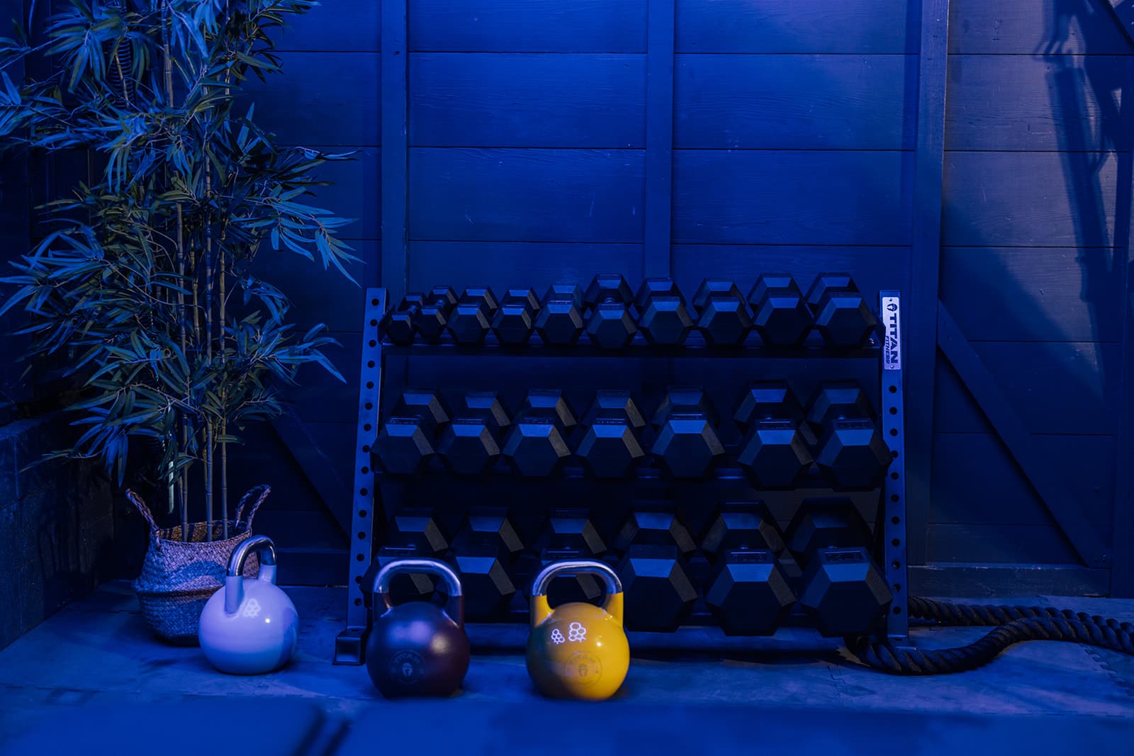 The gym: a bench and free weights on the floor